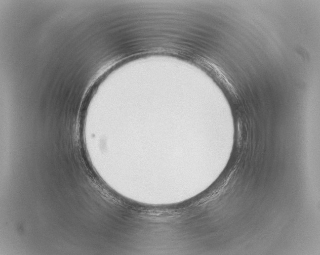 X0000115500780200912181423