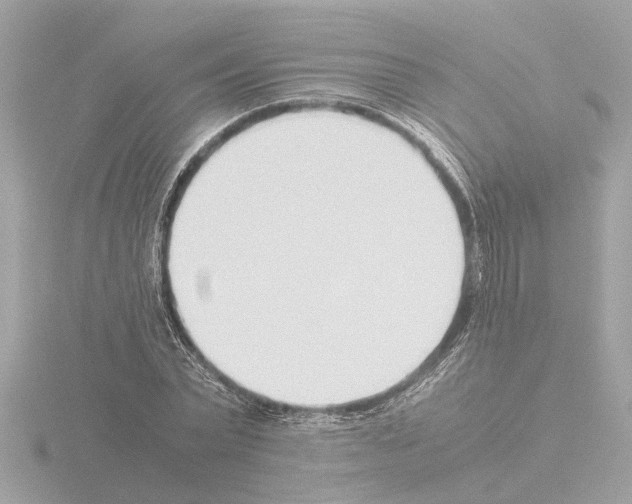 X0000115500783200912181423