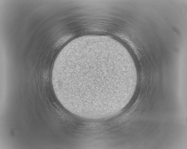 X0000115500785200912181423