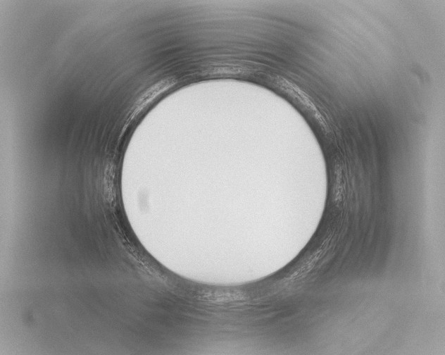 X0000115500786200912181423
