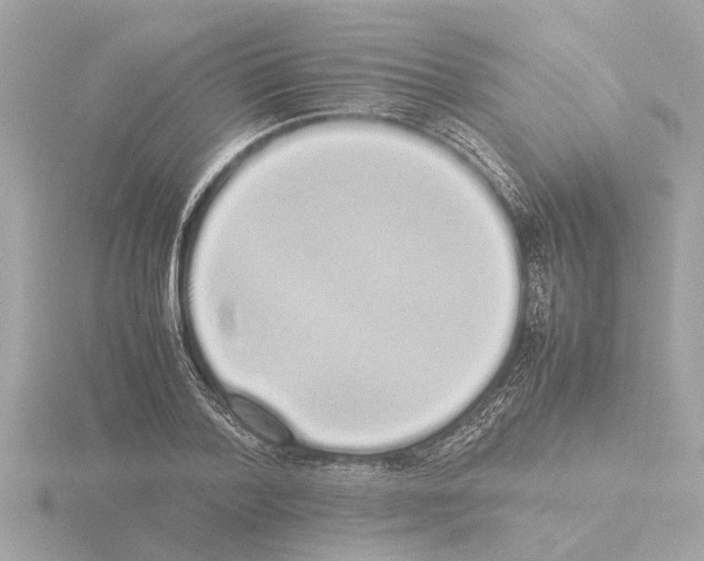 X0000115500788200912181423