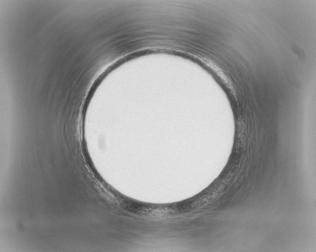 X0000115500791200912181423
