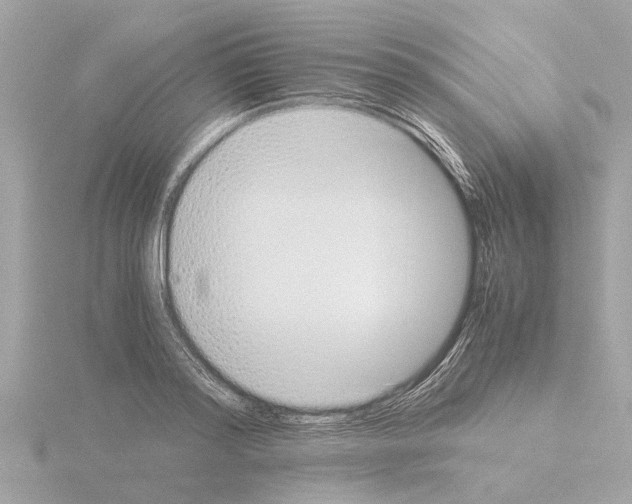 X0000115500796200912181423