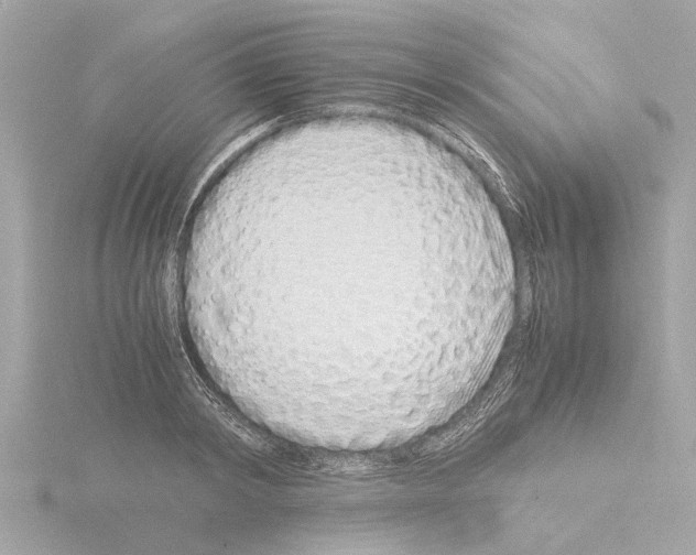 X0000115500798200912181423