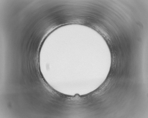 X0000115500800200912181423