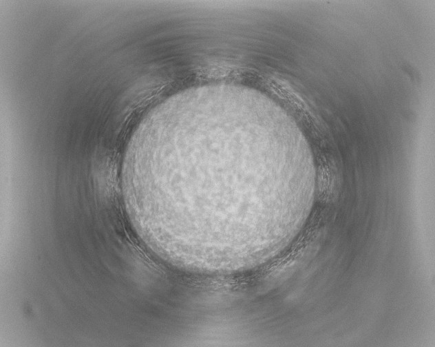 X0000115500820200912181422