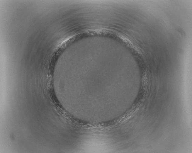 X0000115500822200912181422