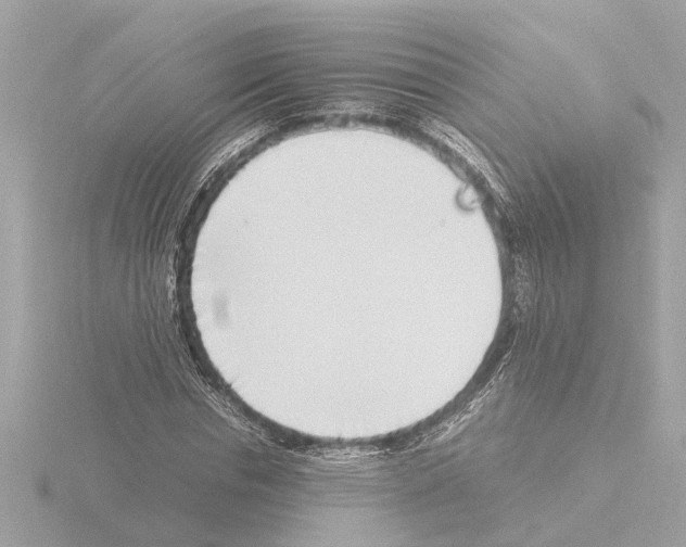 X0000115500826200912181422