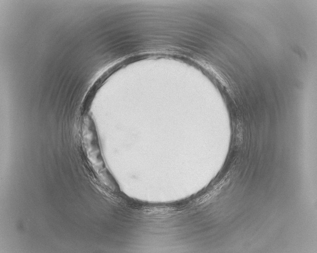 X0000115500830200912181422