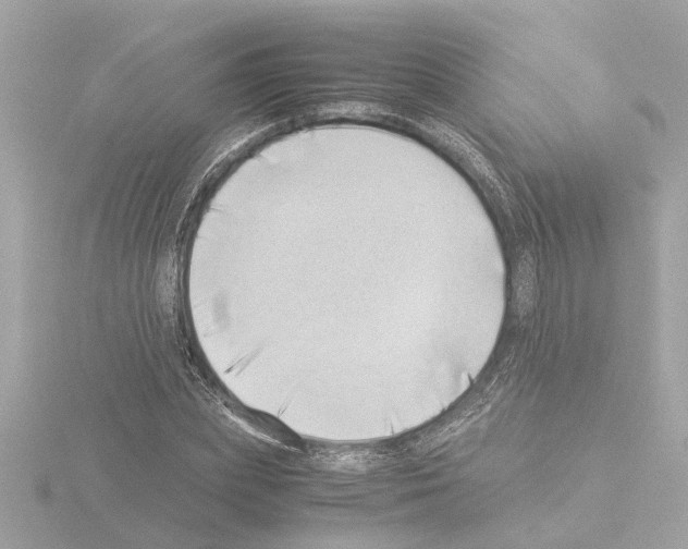 X0000115500831200912181422