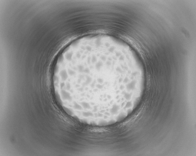 X0000115500835200912181422