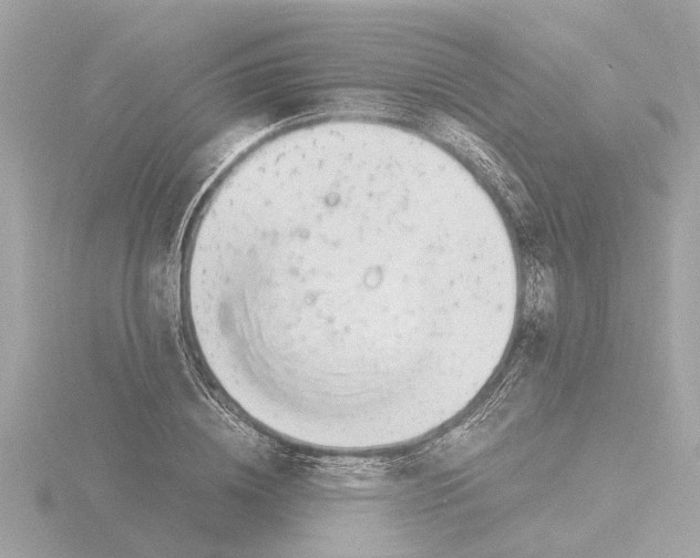 X0000115500836200912181422