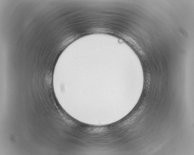 X0000115500841200912181422