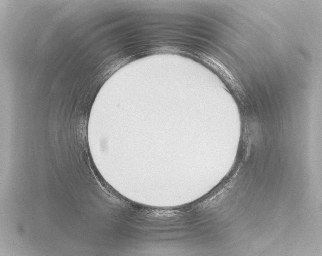 X0000115500849200912181422