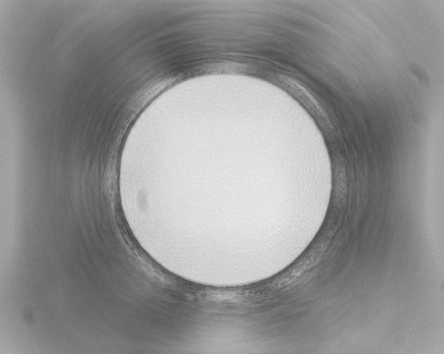 X0000115500852200912181422