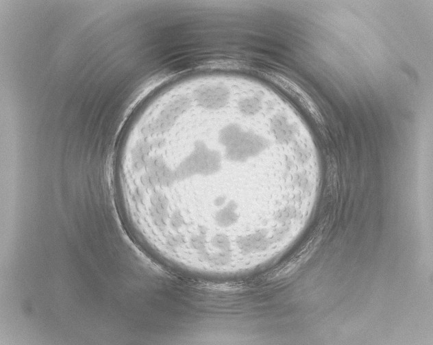 X0000115500855200912181422