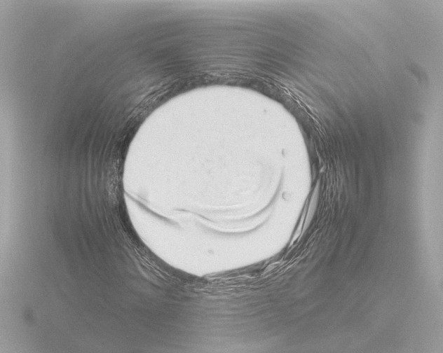 X0000115500868200912181422