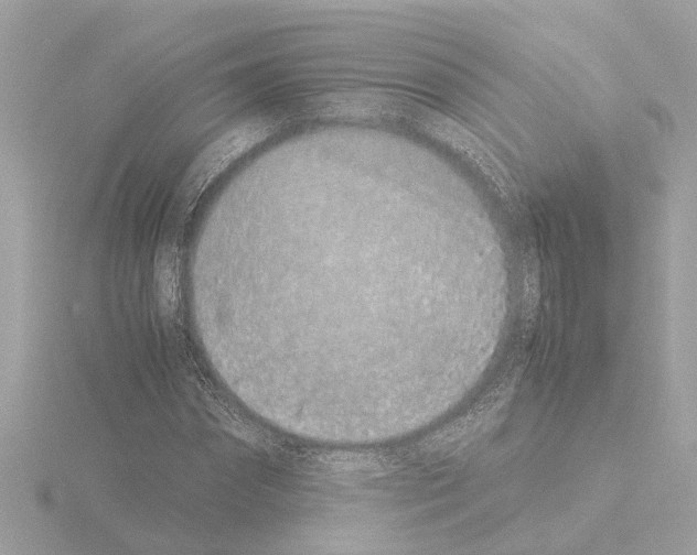 X0000115500874200912181422