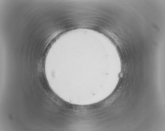 X0000115500875200912181422