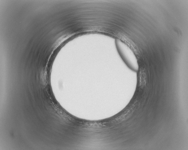 X0000115500876200912181422