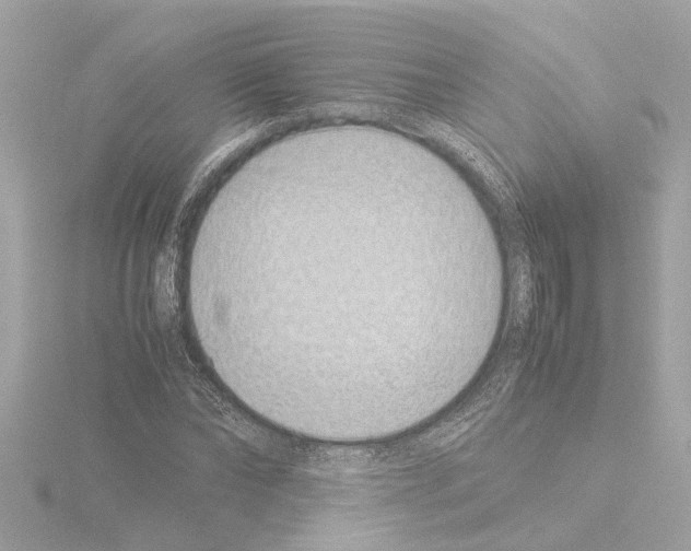 X0000115500878200912181422