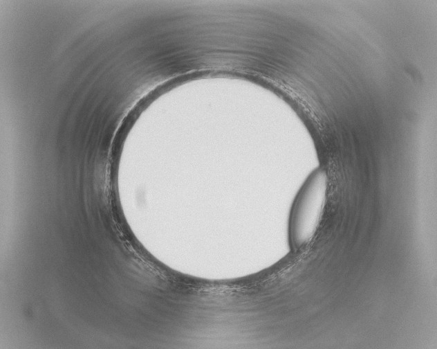 X0000115500880200912181422