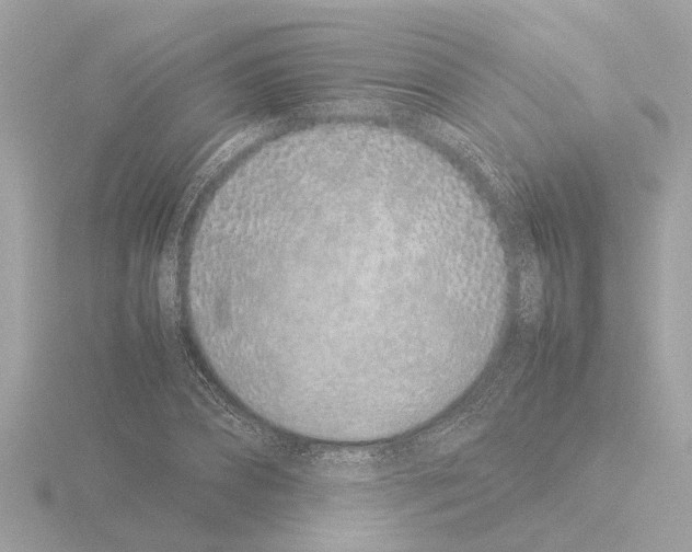 X0000115500882200912181422