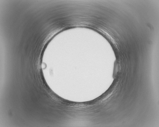 X0000115500885200912181422