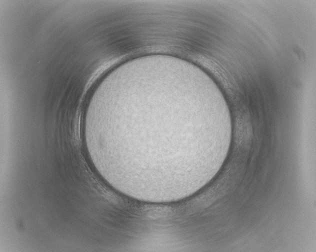 X0000115500886200912181422