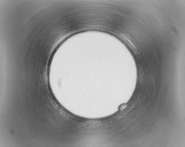 X0000115500888200912181422