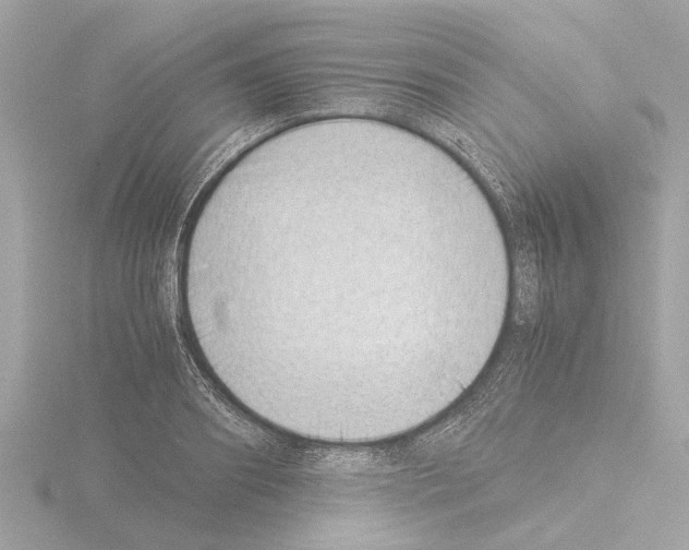 X0000115500890200912181422