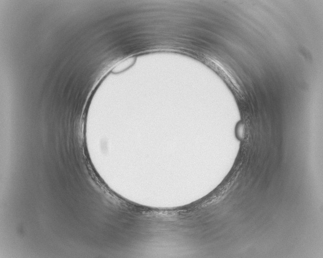 X0000115500900200912181421