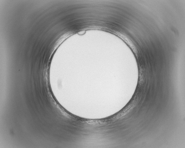 X0000115500906200912181421