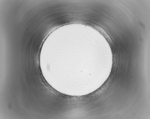X0000115500908200912181421