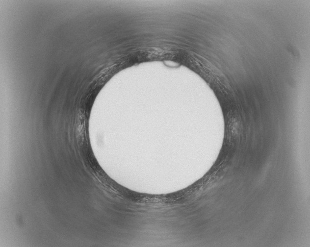 X0000115500914200912181421