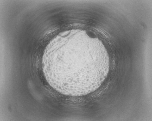 X0000115500917200912181421