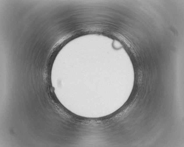 X0000115500922200912181421