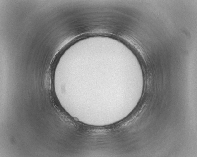 X0000115500925200912181421