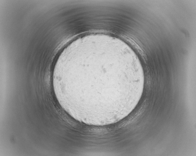 X0000115500933200912181421