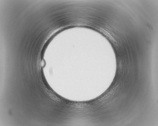 X0000115500934200912181421