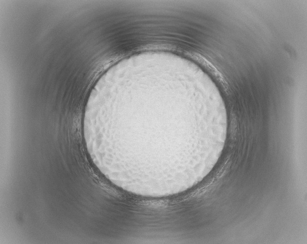 X0000115500937200912181421