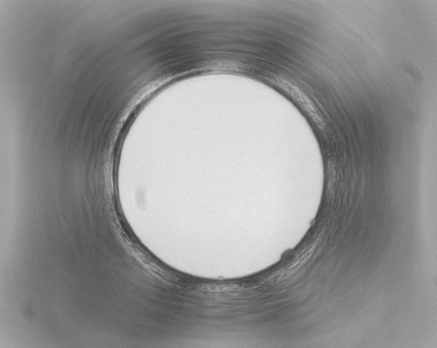 X0000115500939200912181421