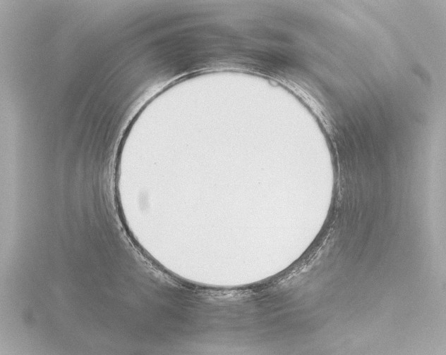 X0000115500949200912181421