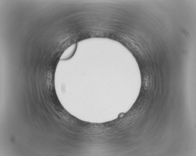 X0000115500964200912181420