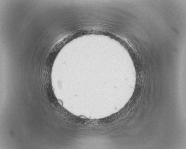 X0000115500967200912181420