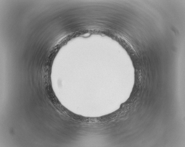 X0000115500968200912181420