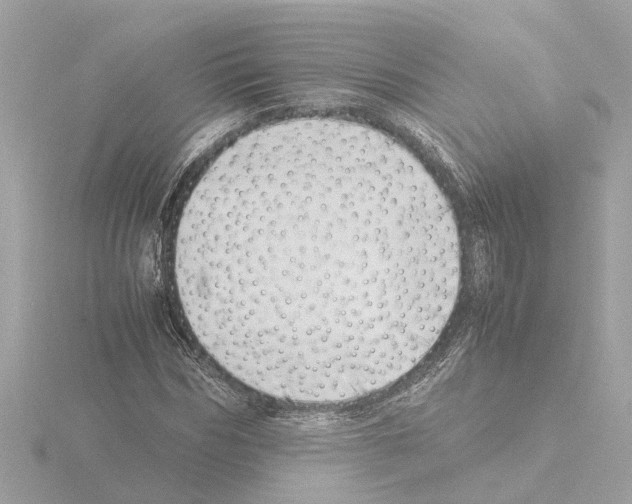 X0000115500970200912181420