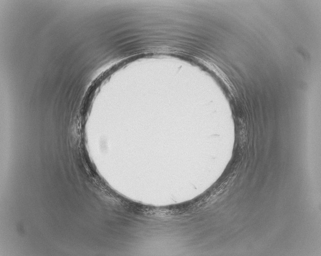 X0000115500971200912181420