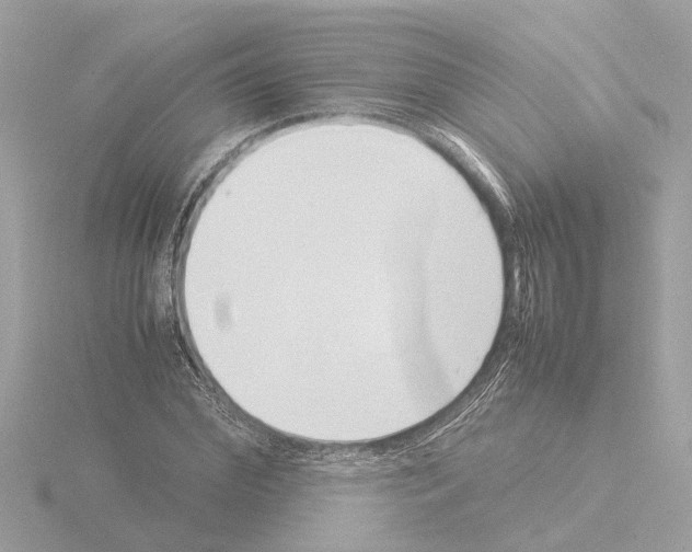 X0000115500972200912181420