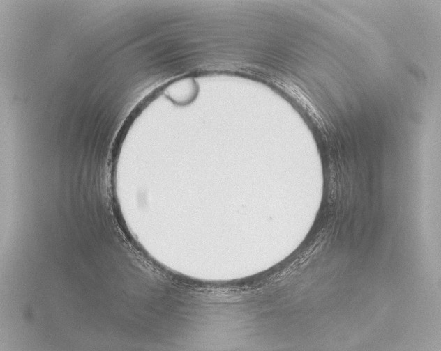 X0000115500976200912181420